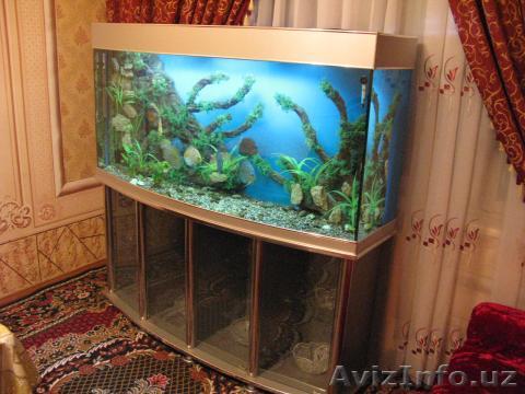 Куплю маленький станок с пантографом - Изображение #1, Объявление #3308