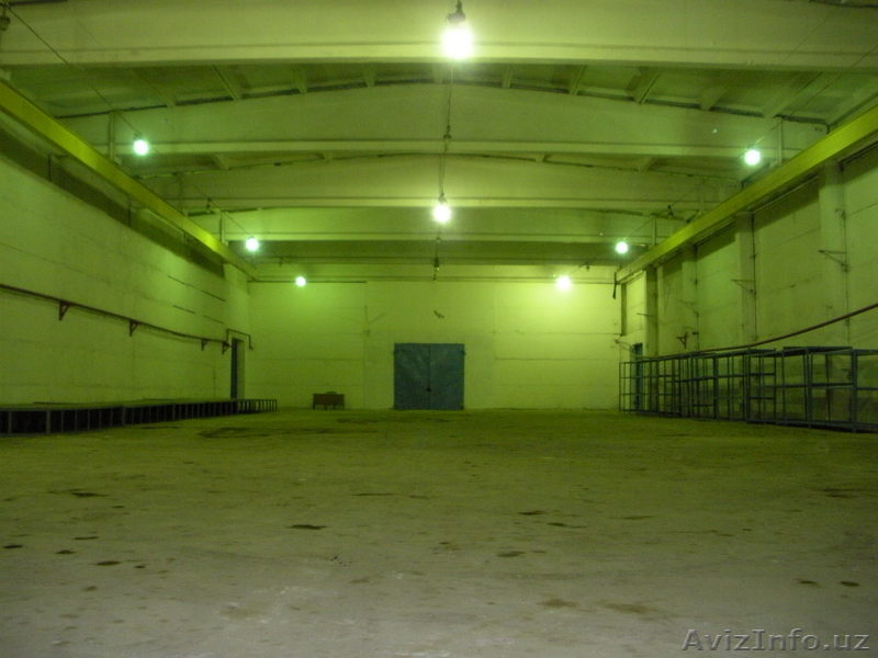 OOO «SOUTH-WEST TERMINAL»   - Изображение #1, Объявление #62248