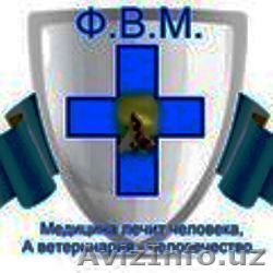 Ветеринарные услуги. - Изображение #1, Объявление #108991