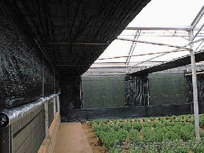 Защитные сетки для рассады. - Изображение #1, Объявление #136802