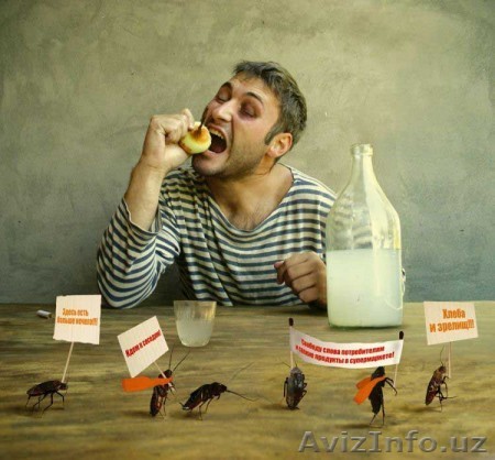 Дезинфекция, дезинсекция, ПРОФИЛАКТИКА и УНИЧТОЖЕНИЕ насекомых - Изображение #1, Объявление #159997