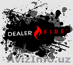 Senior PHP Developer - Изображение #1, Объявление #175024