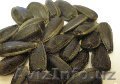 Продам подсолнечник из КАЗАХСТАНА +38 093 594-10-79  с доставкой - Изображение #1, Объявление #190236