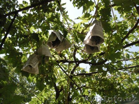 Продается дом в Миробадском районе - Изображение #1, Объявление #232973