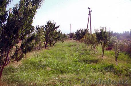 ПРИВАТИЗИРОВАННАЯ ЗЕМЛЯ АКТАШЕ. - Изображение #1, Объявление #306516