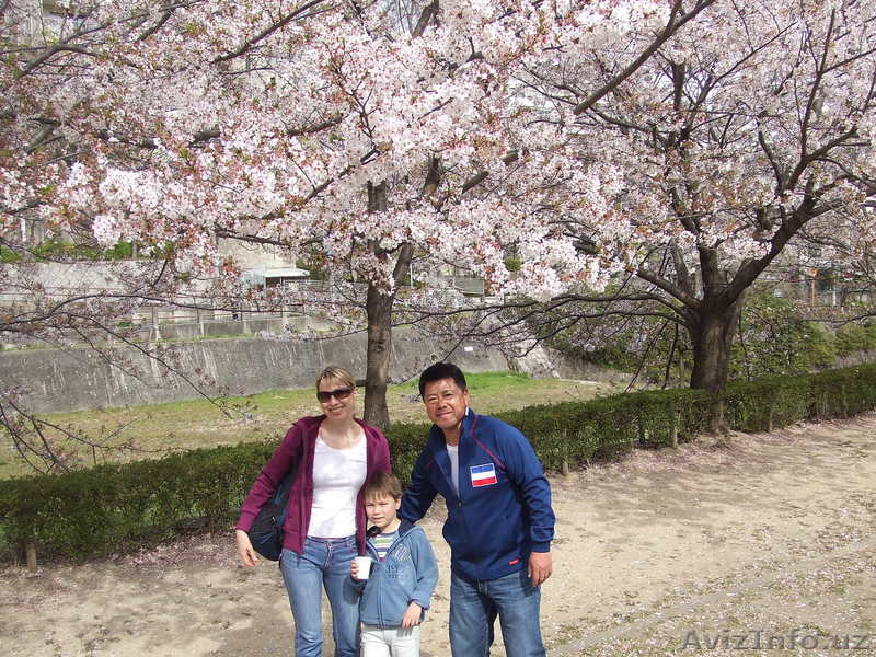 Горячее Предложение - Изображение #1, Объявление #312102