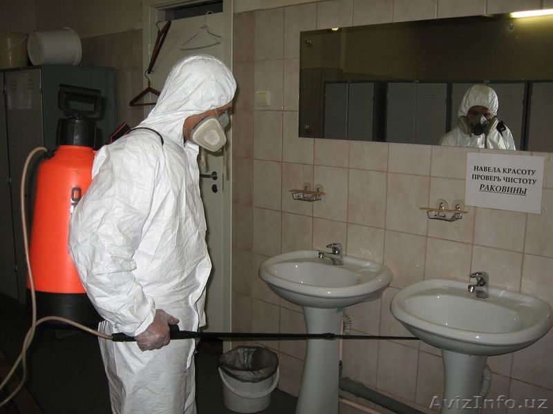 Дезинфекция 90 9409048 дезинсекция помещений. Уборка - Изображение #1, Объявление #508346