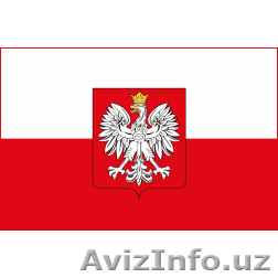 Работа в Польше - Изображение #1, Объявление #557843