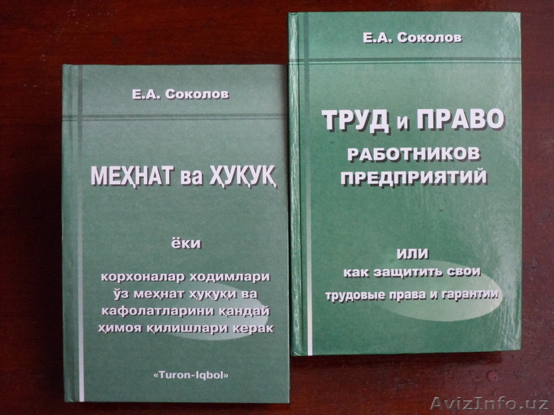 Книга "Труд и право работников предприятий" Соколов Е.А. - Изображение #1, Объявление #535960