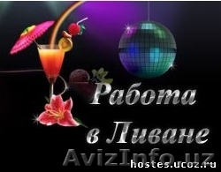 Работа в Ливане. - Изображение #1, Объявление #729819