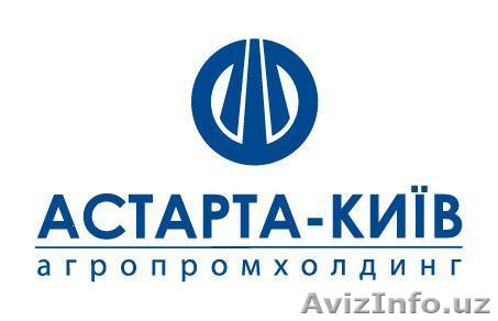 Сахар оптом от производителя, Украина - Изображение #1, Объявление #832507