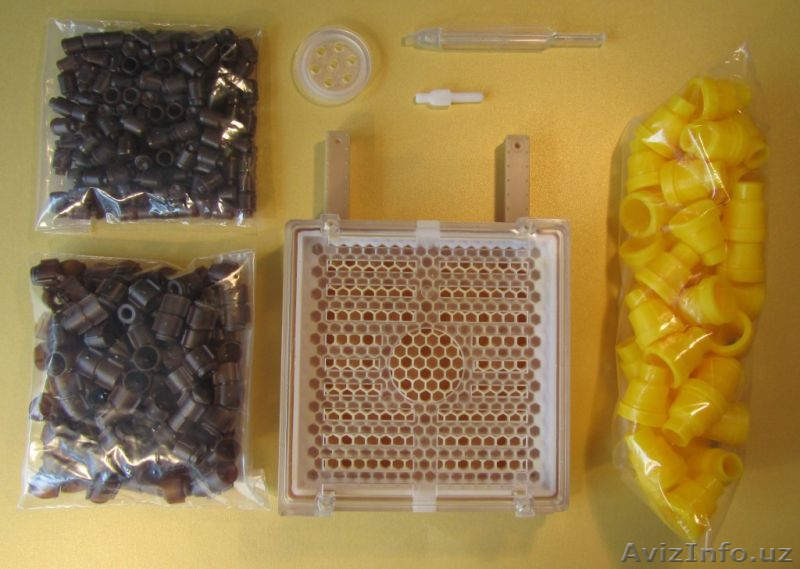 Джентерский сот - Изображение #1, Объявление #820616