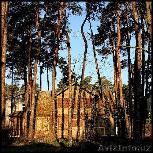 «Скандинавский круиз» на пароме по Европе - Изображение #1, Объявление #875816