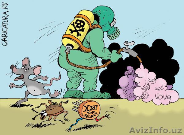 КАЧЕСТВЕННАЯ ДЕЗИНФЕКЦИЯ ОТ ВСЕ ВИДОВ НАСЕКОМЫХ - Изображение #1, Объявление #895159