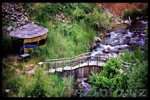 Отдых в горах: Зона отдыха \\\"Боги Шамол\\\". Все курорты Узбекистана - Изображение #1, Объявление #1033426