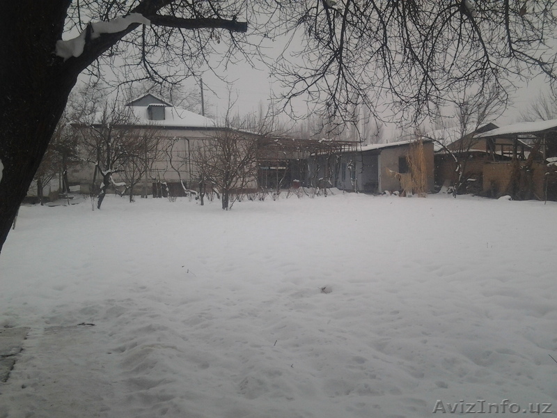 urtasaray************ - Изображение #1, Объявление #1037163