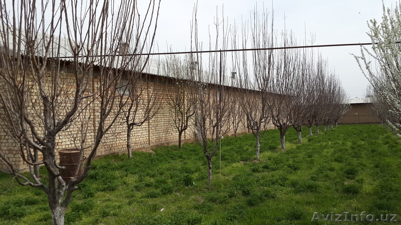 СРОЧНО!!! продам Зем.участок 40сот. - Изображение #1, Объявление #1073606