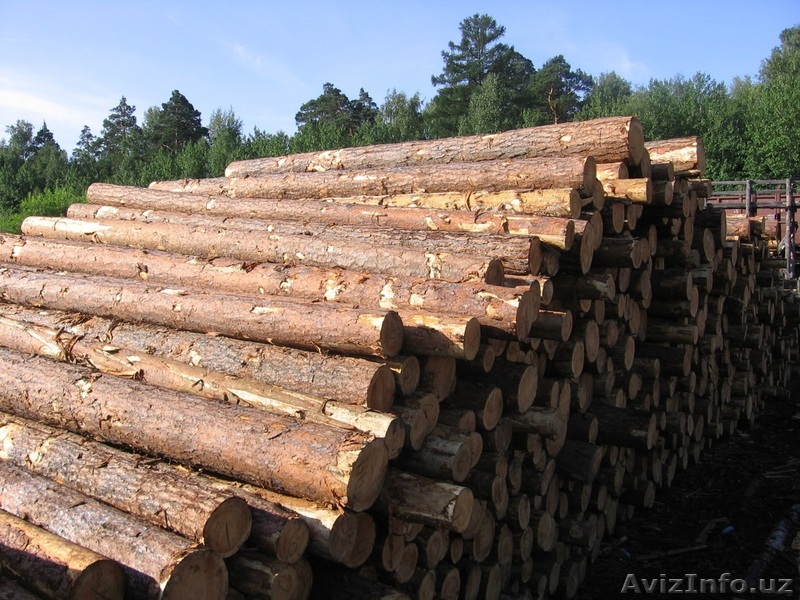 погрузки круглого леса, пиломатериала - Изображение #1, Объявление #1090204