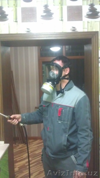 СРОЧНАЯ ДЕЗИНСЕКЦИЯ,ДЕЗИНФЕКЦИЯ В ТАШКЕНТЕ ОБРАБОТКА ТАРАКАНОВ КЛОПОВ  - Изображение #1, Объявление #289005