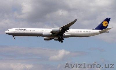 Авиа доставка груза из Китая в Узбекистан - Изображение #1, Объявление #1146797