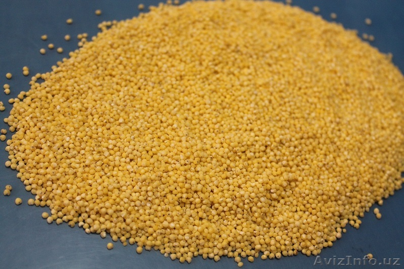 пшено шлифованное 1 сорт Россия - Изображение #1, Объявление #1156610