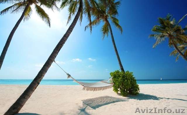 Увлекательные путешествия вместе с MARKOS HOLIDAYS - Изображение #1, Объявление #1177358