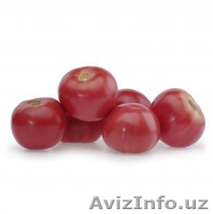 Семена Китано. Томат BATLER F1 /  Батлер  - Изображение #1, Объявление #1187825