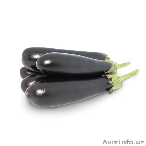 Семена Китано. Баклажан SAMURAI F1 / Самурай - Изображение #1, Объявление #1187819