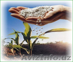 Карбамид, селитра (минудобрения), NPK по Украине и на экспорт. - Изображение #1, Объявление #1246198