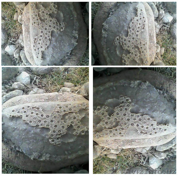 Уникальный Камень удачи - Изображение #1, Объявление #1243026