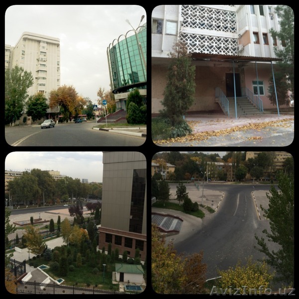 СРОЧНО продается своя 3-х комн. кв. спецплан  в центре! - Изображение #1, Объявление #1278636