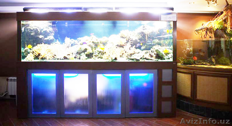 Аквариумы для дома и офиса - Изображение #1, Объявление #1315449
