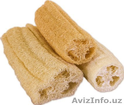 Ищу поставщика неотбеленной люфы - Изображение #1, Объявление #1388946