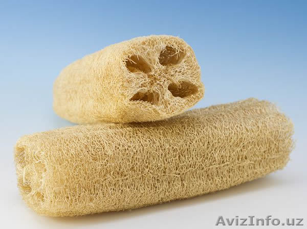 Куплю неотбеленную люфу - Изображение #1, Объявление #1388944