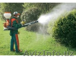 Дезинфекция обработка квартир, домов, теплиц, полей,садов,деревьев и.. - Изображение #1, Объявление #162105