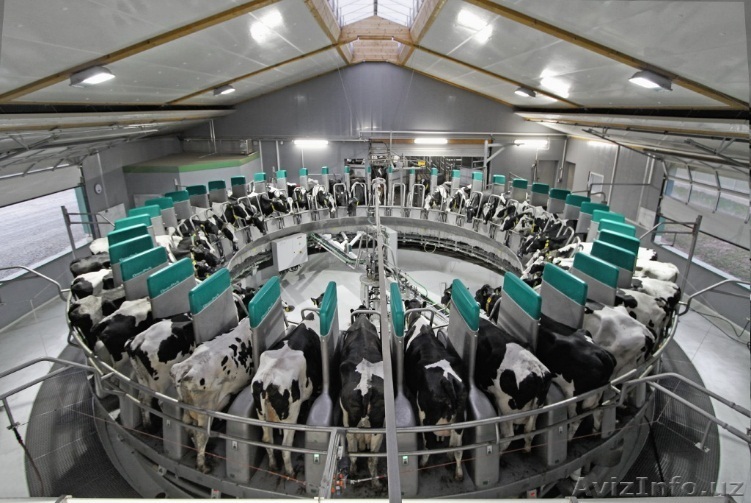 Доильная площадка Карусель  - Изображение #1, Объявление #1469090