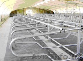 Оборудование для коровника - Изображение #1, Объявление #1467837