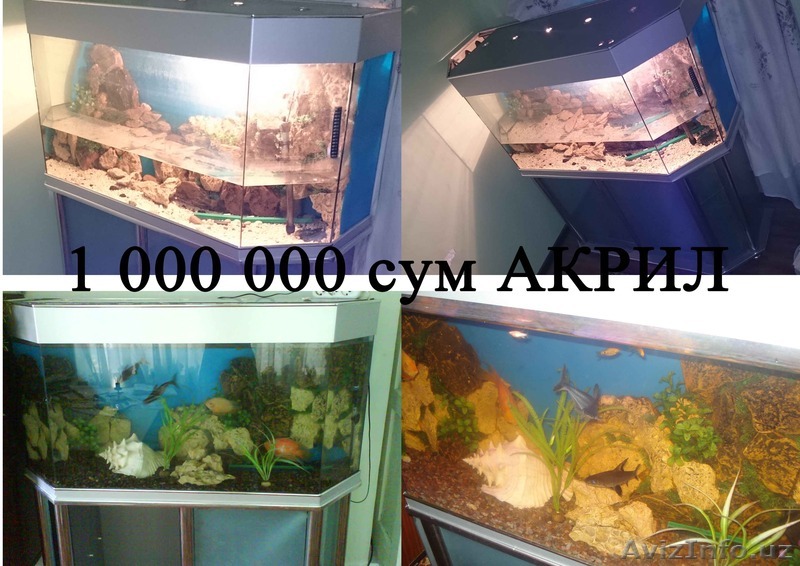 Аквариумы Cрочна - Изображение #1, Объявление #1495407