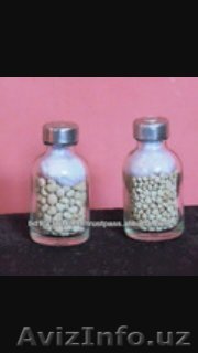 Гипофиз карповый - Изображение #1, Объявление #1513954