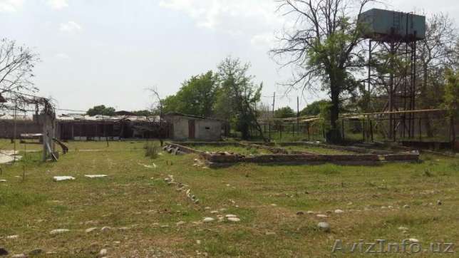 Сдам 20 сотки земли сельхоз назначения в Тузеле (Кибрай), - Изображение #1, Объявление #1521369