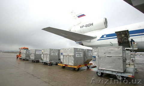 Грузоперевозки ( самолетом ) - Изображение #1, Объявление #1549841
