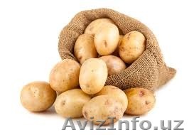 Картофель Украина - Изображение #1, Объявление #1572359