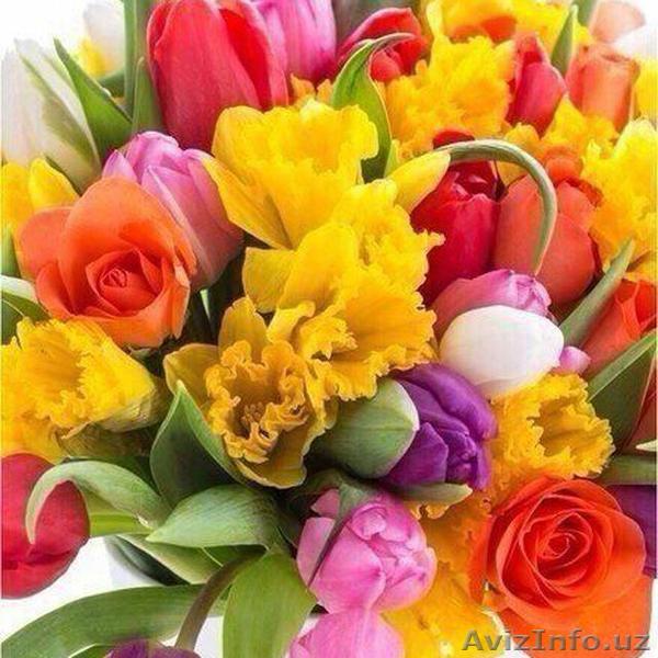 Предлагаю к продаже Участок с домом - Изображение #1, Объявление #1580168