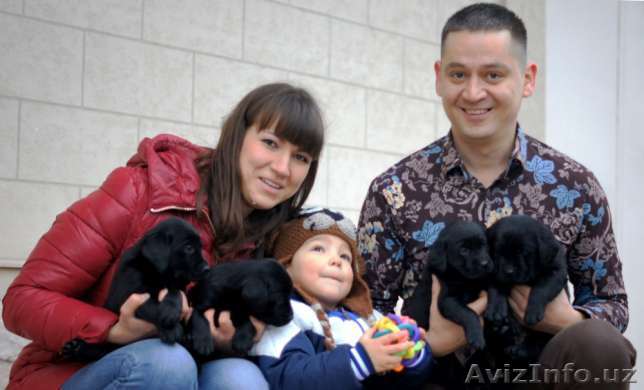 Новогодняя Скидка.Элитные щенки ЛАБРАДОРА - Изображение #1, Объявление #1599907