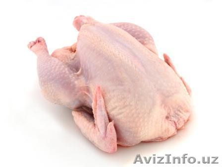 Мясо индейки (тушки, разделка) - Изображение #1, Объявление #1603586