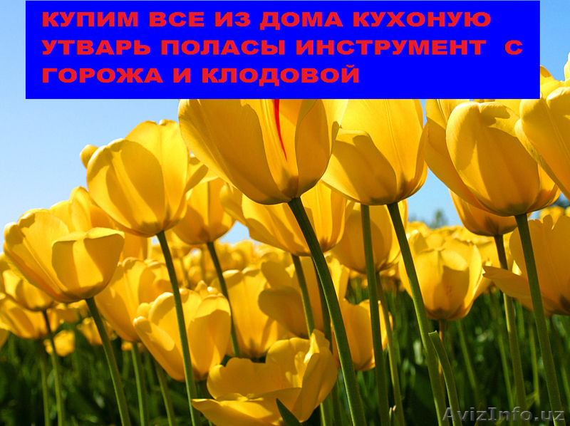 Куплю все из дома и гаража. Посуда - Изображение #1, Объявление #1617629