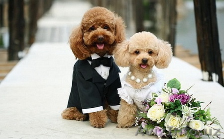 Влада - Изображение #1, Объявление #1625619