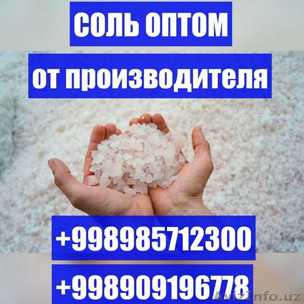 Продажа соли оптом от крупнейшего производителя по доступным ценам! - Изображение #1, Объявление #1626561