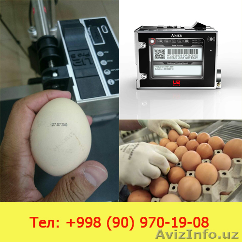 Датировщик для яиц - Изображение #1, Объявление #1628259
