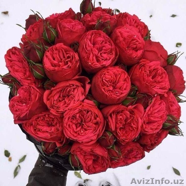 Продается кашпо для цветов в отличном состоянии  - Изображение #1, Объявление #1633384